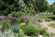 22nd Jun 2020 - Hillside garden in full spring bloom