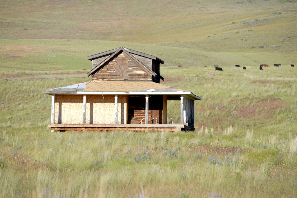 Lonely-Looking, Unfinished Homestead by bjywamer