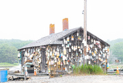 22nd Jun 2020 - Shack covered in lobster buoys on a foggy morning.