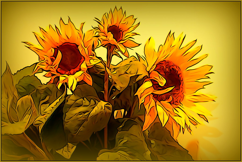More sunflowers by dide
