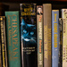 Matthew Flinders cat by jeneurell