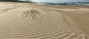6th Jun 2020 - Ripples in the sand