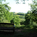 22nd June Winkworth Arboretum by valpetersen