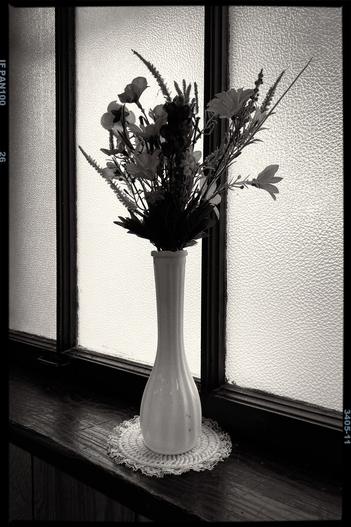 Hipstamatic B&W flowers by jeffjones