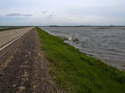 20th May 2020 - Flooded fields