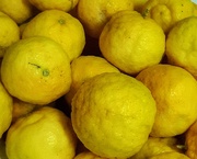 24th Jun 2020 - Lemons