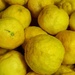 Lemons by salza