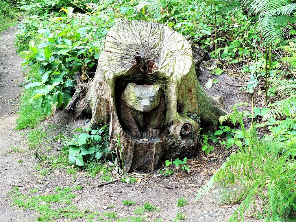 Clever use of a tree stump! by bigmxx