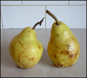 23rd Jun 2020 - The William pears