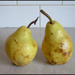 The William pears by kerenmcsweeney