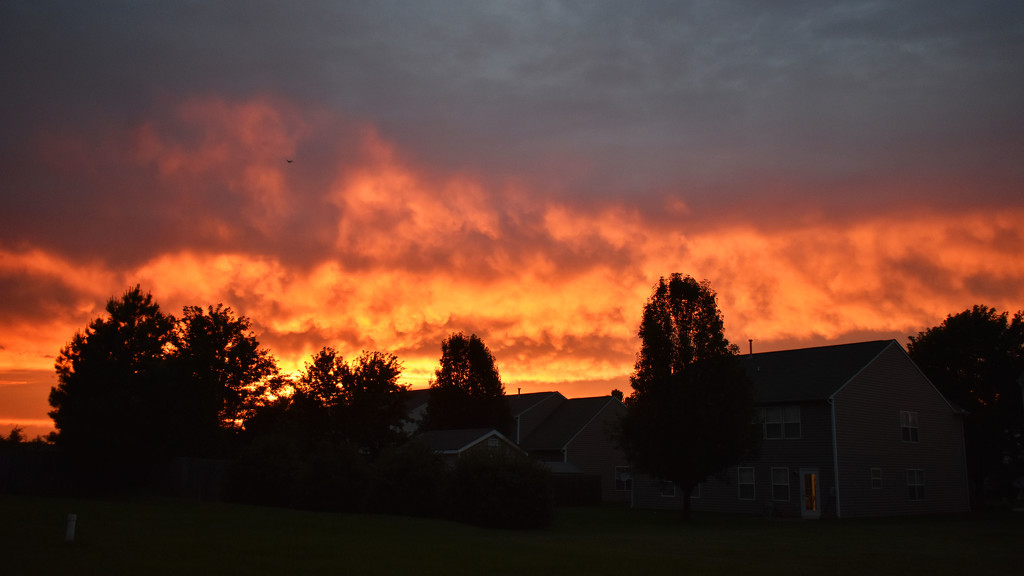 Fire in the sky! by homeschoolmom