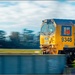 Kiwi Rail by nzkites