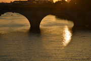 23rd Jun 2020 - golden Seine