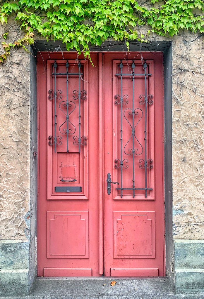 4 hearts on a pink door.  by cocobella