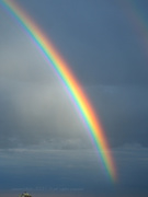 24th Jun 2020 - every time i see a rainbow