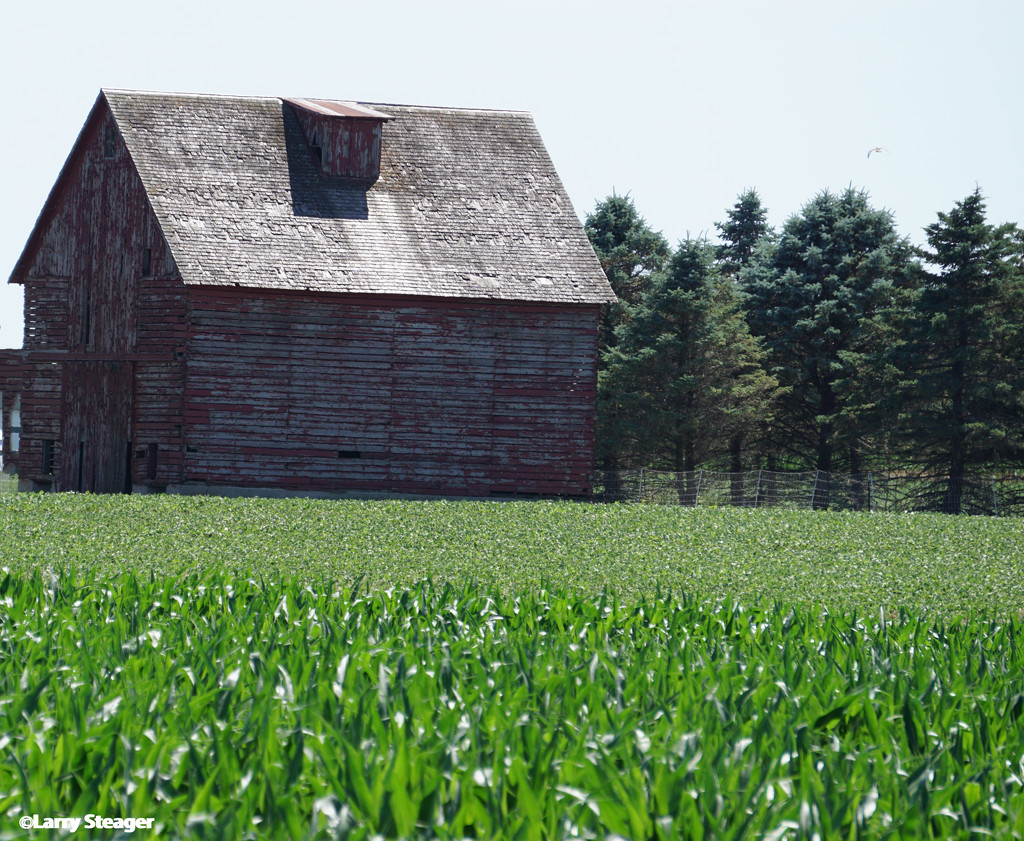 Corn barn by larrysphotos