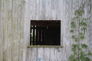 25th Jun 2020 - Old Barn Window