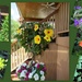 Flowers in front yard and alcove