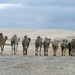 Nude Camels Going Home by onewing