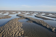 26th Jun 2020 - Sandbank at low tide