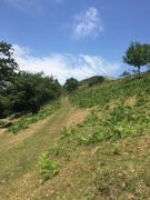 26th Jun 2020 - A view of the Malvern hills