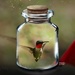 Hummingbird in a bottle  by radiogirl
