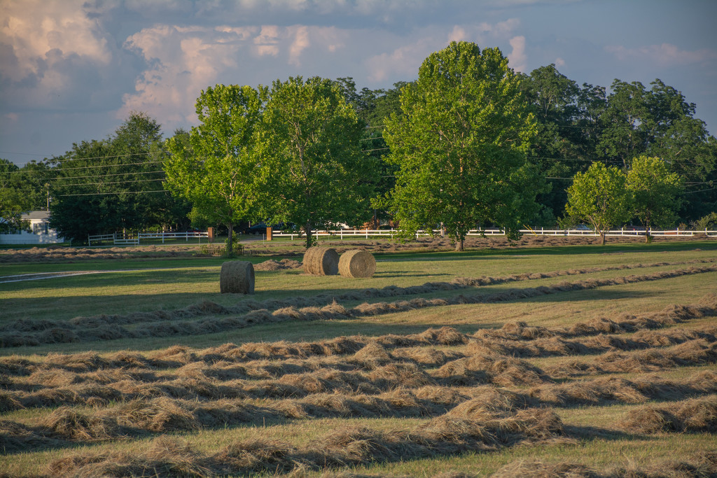Hay baling in process... by thewatersphotos