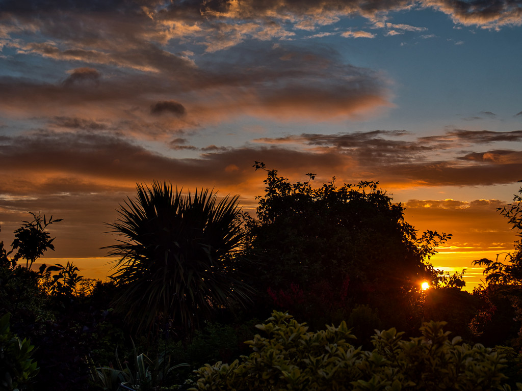 Colourful Sky From The Garden. by tonygig