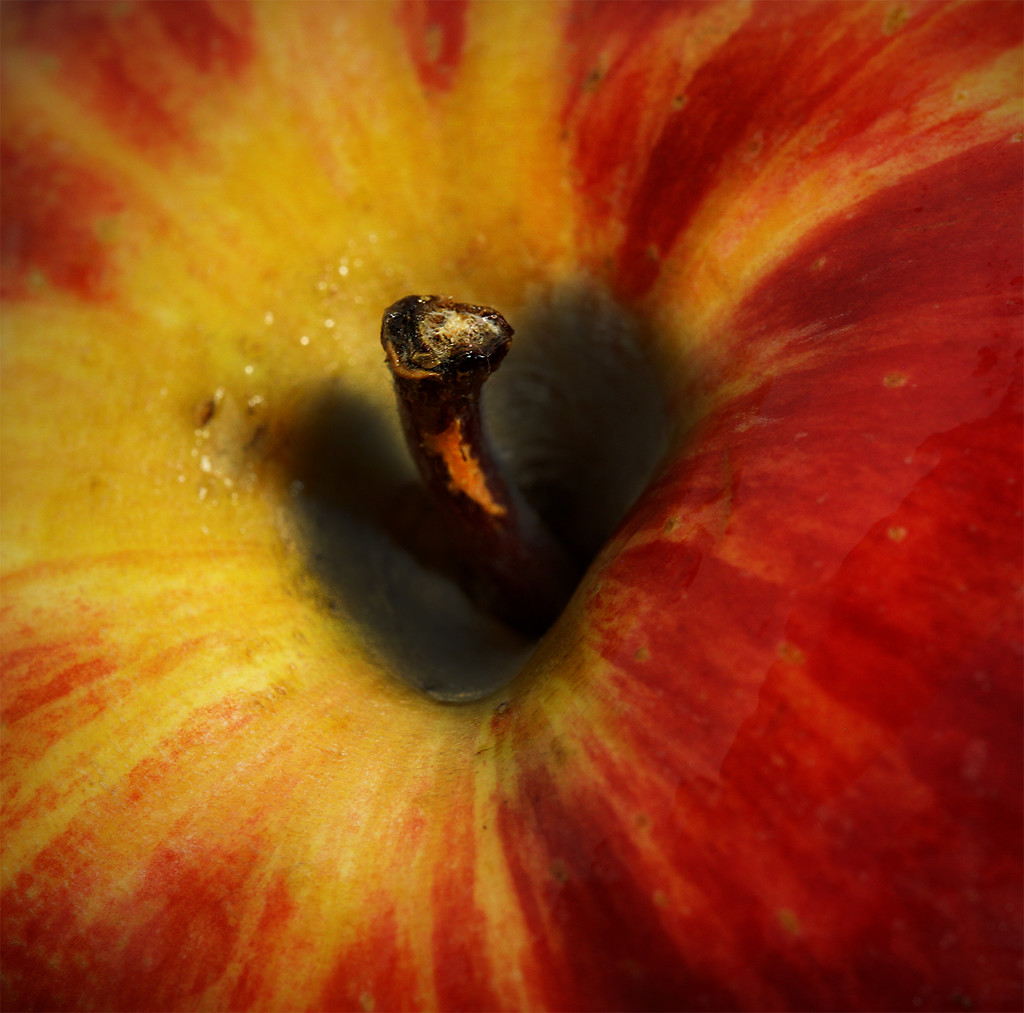 An apple a day   (Best on black) by sdutoit