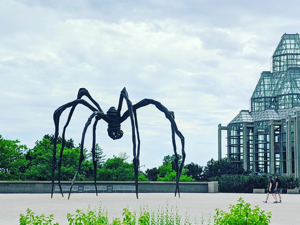 Spider by the National Gallery of Canada by gq