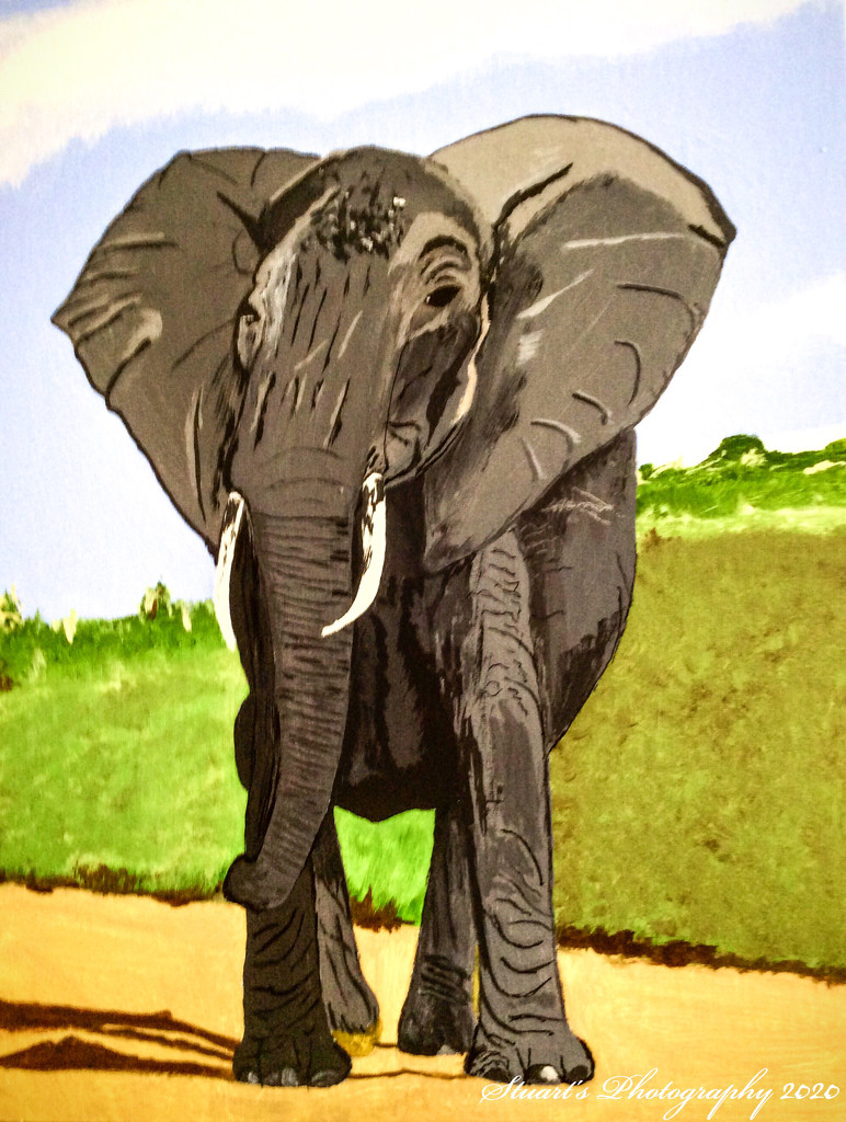Elephant (painting) by stuart46