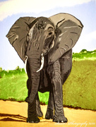 28th Jun 2020 - Elephant (painting)