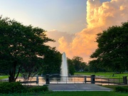 28th Jun 2020 - Sunset clouds at Hampton Park