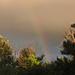 Evening Rainbow by gq