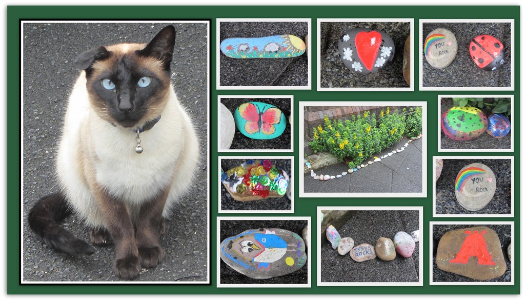Pussycat and painted pebbles. by grace55
