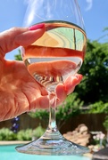 28th Jun 2020 - “Wine makes daily living easier....” Ben Franklin