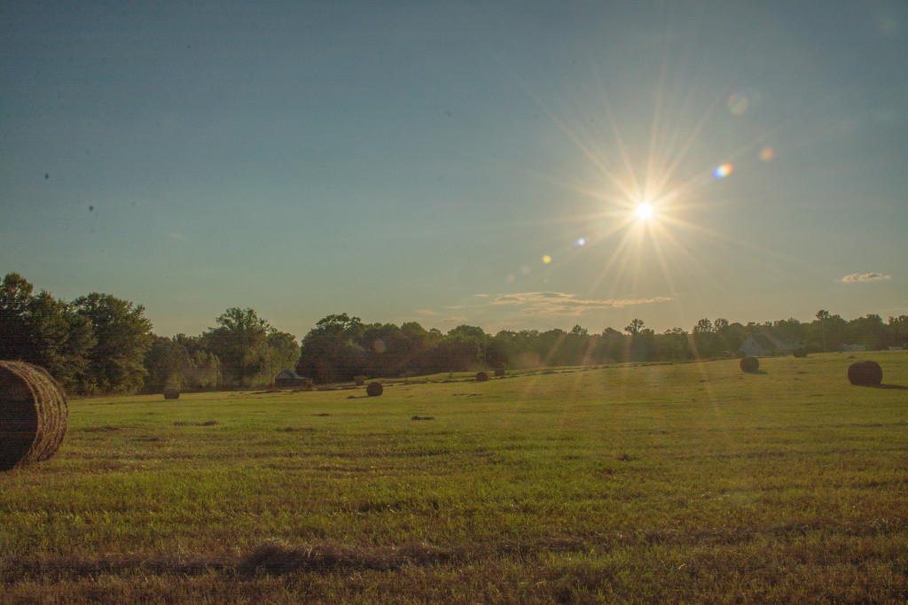 "Make hay while the sun shines"... by thewatersphotos