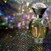 Perfume by judyc57