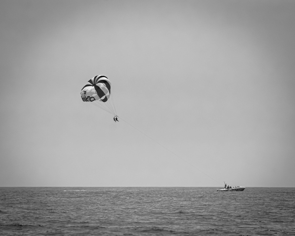 Para Sailing in Black and White by marylandgirl58