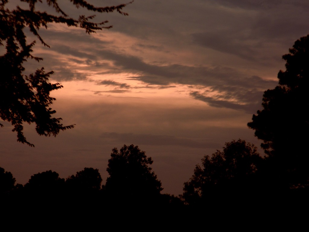 Cloudy Sunset  by sfeldphotos