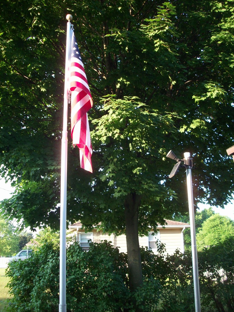 flag and flagpole by stillmoments33