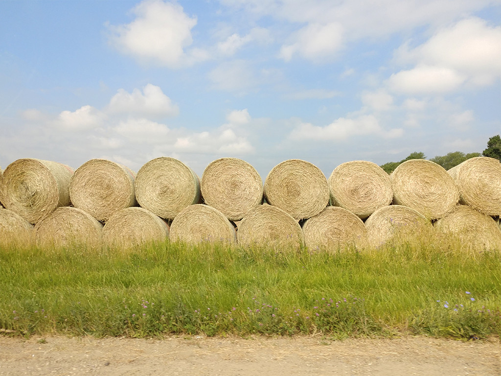 hay rolls by houser934