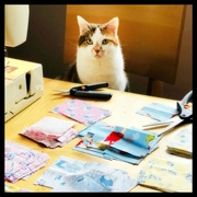 28th Jun 2020 - My Other Sewing Helper