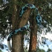  Blue Viper by mjmaven
