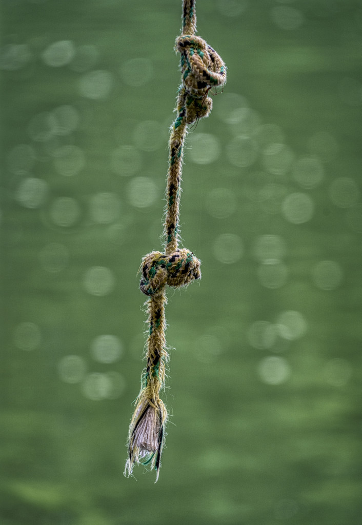 Rope Swing by kvphoto