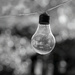 A lightbulb moment (Jupiter 11A 135mm f4 vintage lens) by phil_howcroft
