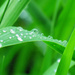 Raindrops by seattlite