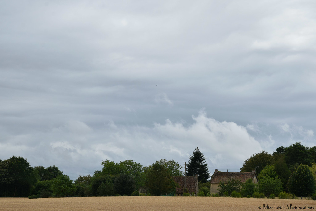 French countryside  by parisouailleurs