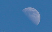 30th Jun 2020 - Half moon in the middle of the day