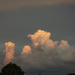Puffy Sunset Clouds by marylandgirl58